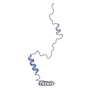 2646_3j7p_b_v1-4
Structure of the 80S mammalian ribosome bound to eEF2