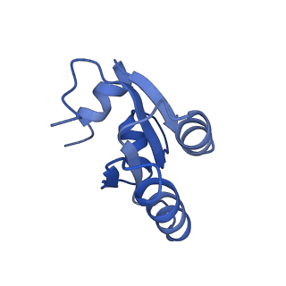 2646_3j7p_c_v1-4
Structure of the 80S mammalian ribosome bound to eEF2