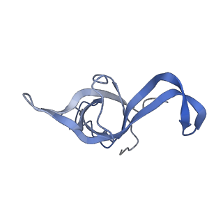 2646_3j7p_f_v1-4
Structure of the 80S mammalian ribosome bound to eEF2