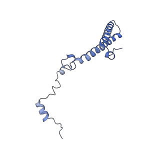 2646_3j7p_h_v1-4
Structure of the 80S mammalian ribosome bound to eEF2