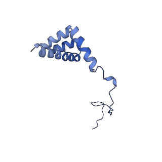 2646_3j7p_i_v1-4
Structure of the 80S mammalian ribosome bound to eEF2