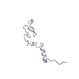 2646_3j7p_j_v1-4
Structure of the 80S mammalian ribosome bound to eEF2
