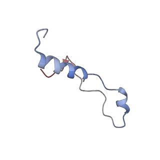 2646_3j7p_l_v1-4
Structure of the 80S mammalian ribosome bound to eEF2
