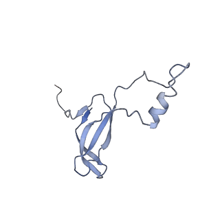 2646_3j7p_o_v1-4
Structure of the 80S mammalian ribosome bound to eEF2