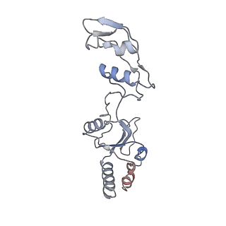 2646_3j7p_q_v1-4
Structure of the 80S mammalian ribosome bound to eEF2