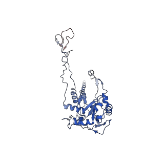 2650_3j7q_C_v1-4
Structure of the idle mammalian ribosome-Sec61 complex