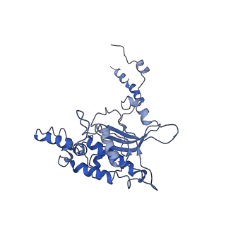 2650_3j7q_D_v1-4
Structure of the idle mammalian ribosome-Sec61 complex