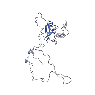 2650_3j7q_E_v1-4
Structure of the idle mammalian ribosome-Sec61 complex
