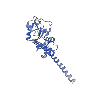 2650_3j7q_F_v1-4
Structure of the idle mammalian ribosome-Sec61 complex
