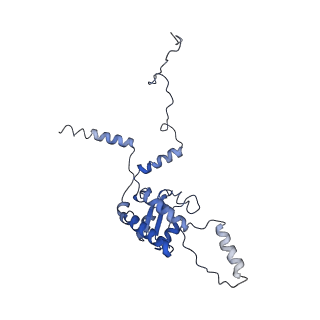 2650_3j7q_G_v1-4
Structure of the idle mammalian ribosome-Sec61 complex