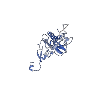 2650_3j7q_I_v1-4
Structure of the idle mammalian ribosome-Sec61 complex