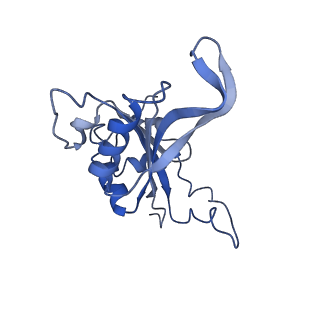 2650_3j7q_J_v1-4
Structure of the idle mammalian ribosome-Sec61 complex