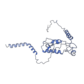 2650_3j7q_L_v1-4
Structure of the idle mammalian ribosome-Sec61 complex