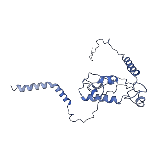 2650_3j7q_L_v2-0
Structure of the idle mammalian ribosome-Sec61 complex