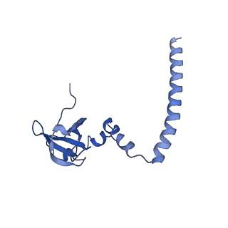 2650_3j7q_M_v1-4
Structure of the idle mammalian ribosome-Sec61 complex