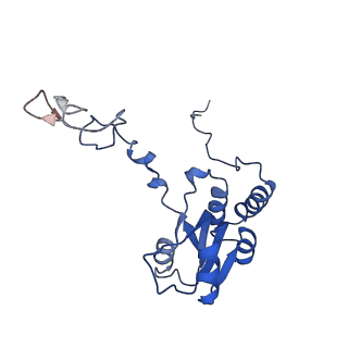 2650_3j7q_Q_v1-4
Structure of the idle mammalian ribosome-Sec61 complex