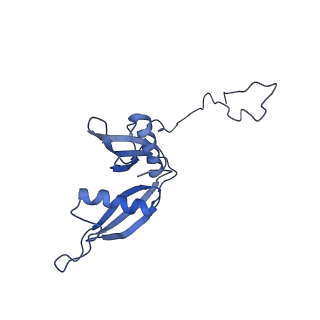 2650_3j7q_S_v1-4
Structure of the idle mammalian ribosome-Sec61 complex