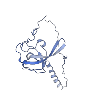 2650_3j7q_T_v1-4
Structure of the idle mammalian ribosome-Sec61 complex