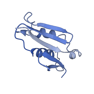 2650_3j7q_U_v1-4
Structure of the idle mammalian ribosome-Sec61 complex