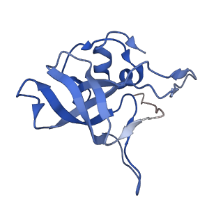 2650_3j7q_V_v1-4
Structure of the idle mammalian ribosome-Sec61 complex