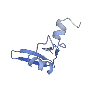 2650_3j7q_W_v1-4
Structure of the idle mammalian ribosome-Sec61 complex