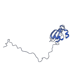 2650_3j7q_X_v1-4
Structure of the idle mammalian ribosome-Sec61 complex