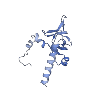 2650_3j7q_Y_v1-4
Structure of the idle mammalian ribosome-Sec61 complex