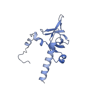 2650_3j7q_Y_v2-0
Structure of the idle mammalian ribosome-Sec61 complex