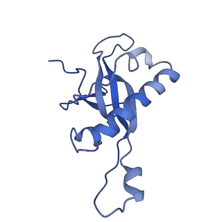 2650_3j7q_Z_v1-4
Structure of the idle mammalian ribosome-Sec61 complex