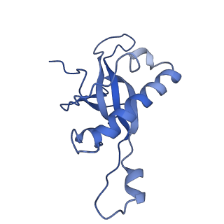 2650_3j7q_Z_v2-0
Structure of the idle mammalian ribosome-Sec61 complex