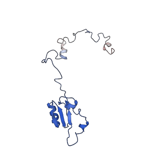 2650_3j7q_a_v1-4
Structure of the idle mammalian ribosome-Sec61 complex