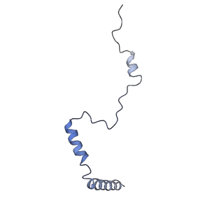 2650_3j7q_b_v1-4
Structure of the idle mammalian ribosome-Sec61 complex