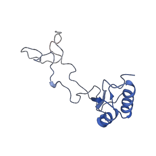2650_3j7q_e_v1-4
Structure of the idle mammalian ribosome-Sec61 complex