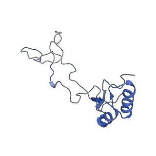 2650_3j7q_e_v2-0
Structure of the idle mammalian ribosome-Sec61 complex