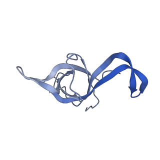 2650_3j7q_f_v1-4
Structure of the idle mammalian ribosome-Sec61 complex