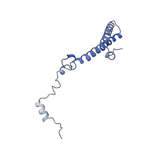 2650_3j7q_h_v1-4
Structure of the idle mammalian ribosome-Sec61 complex