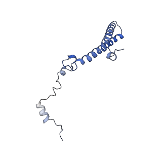 2650_3j7q_h_v2-0
Structure of the idle mammalian ribosome-Sec61 complex