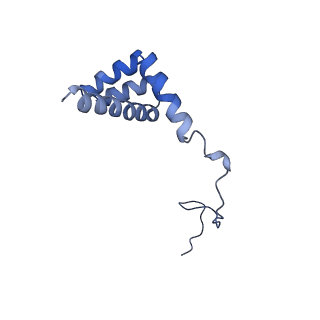 2650_3j7q_i_v1-4
Structure of the idle mammalian ribosome-Sec61 complex