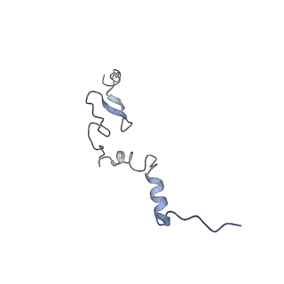 2650_3j7q_j_v1-4
Structure of the idle mammalian ribosome-Sec61 complex