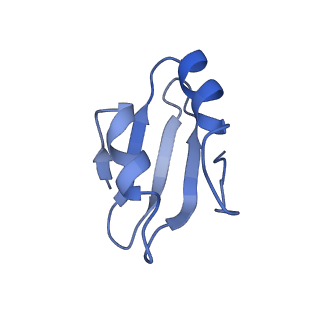 2650_3j7q_k_v1-4
Structure of the idle mammalian ribosome-Sec61 complex