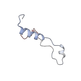 2650_3j7q_l_v1-4
Structure of the idle mammalian ribosome-Sec61 complex