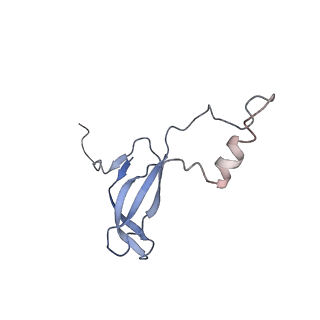 2650_3j7q_o_v1-4
Structure of the idle mammalian ribosome-Sec61 complex