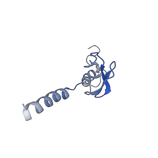 2650_3j7q_p_v1-4
Structure of the idle mammalian ribosome-Sec61 complex