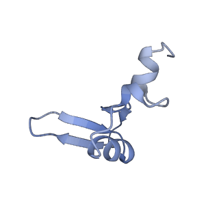 2660_3j79_0_v1-4
Cryo-EM structure of the Plasmodium falciparum 80S ribosome bound to the anti-protozoan drug emetine, large subunit