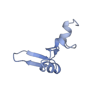 2660_3j79_0_v1-5
Cryo-EM structure of the Plasmodium falciparum 80S ribosome bound to the anti-protozoan drug emetine, large subunit