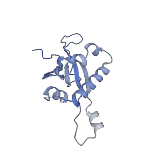 2660_3j79_1_v1-4
Cryo-EM structure of the Plasmodium falciparum 80S ribosome bound to the anti-protozoan drug emetine, large subunit