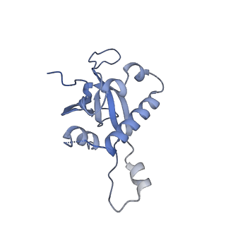 2660_3j79_1_v1-5
Cryo-EM structure of the Plasmodium falciparum 80S ribosome bound to the anti-protozoan drug emetine, large subunit