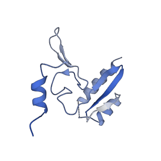2660_3j79_2_v1-4
Cryo-EM structure of the Plasmodium falciparum 80S ribosome bound to the anti-protozoan drug emetine, large subunit