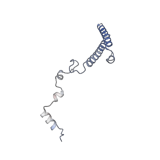 2660_3j79_3_v1-5
Cryo-EM structure of the Plasmodium falciparum 80S ribosome bound to the anti-protozoan drug emetine, large subunit