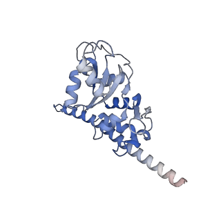 2660_3j79_5_v1-4
Cryo-EM structure of the Plasmodium falciparum 80S ribosome bound to the anti-protozoan drug emetine, large subunit
